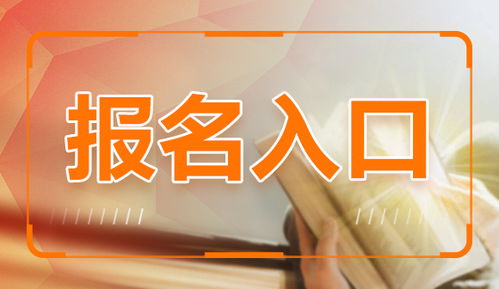 2020枣庄薛城区巨山街道招聘劳务派遣制50人报名入口