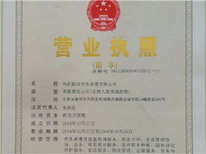 生活服务黄页 城市联盟