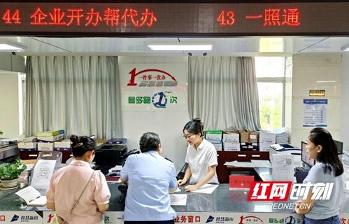新田 一照通办 让政务服务有温度更提速