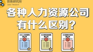 如何对社保费做税筹