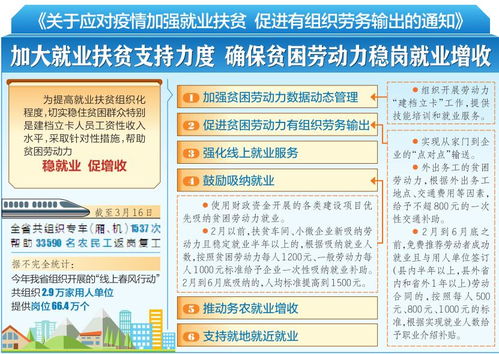 稳定岗位 帮扶就业 增加收入 我省支持扶贫就业系列举措解读