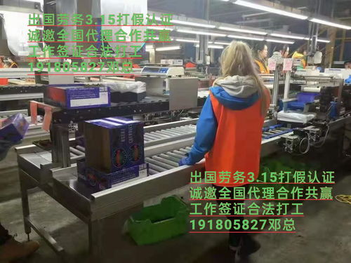 蚌埠海聘劳务公司 连接临汾劳务派遣与欧洲工厂普工就业的桥梁